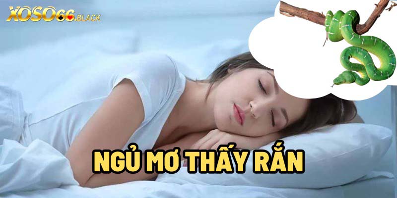 Sáng tỏ giấc ngủ mơ thấy rắn