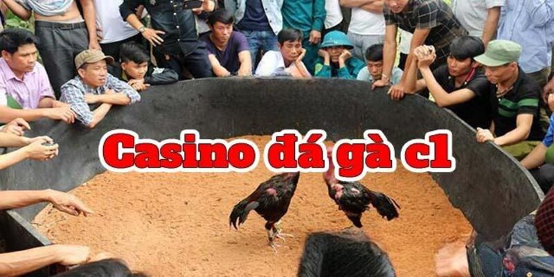 khái niệm đá gà c1 là gì