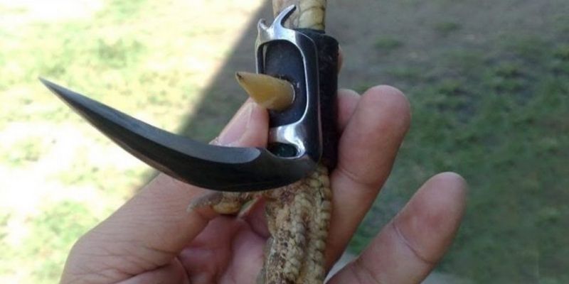 Đá gà cựa dao gây ấn tượng