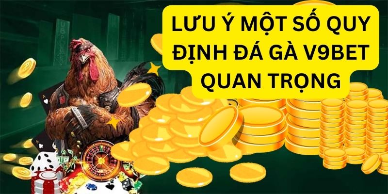 Lưu ý một số quy định đá gà V9bet quan trọng